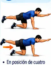 Imagen orientativa del ejercicio
